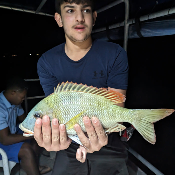 Bringing a Travel Rod to Bali & Fiji Will Catch You More Fish