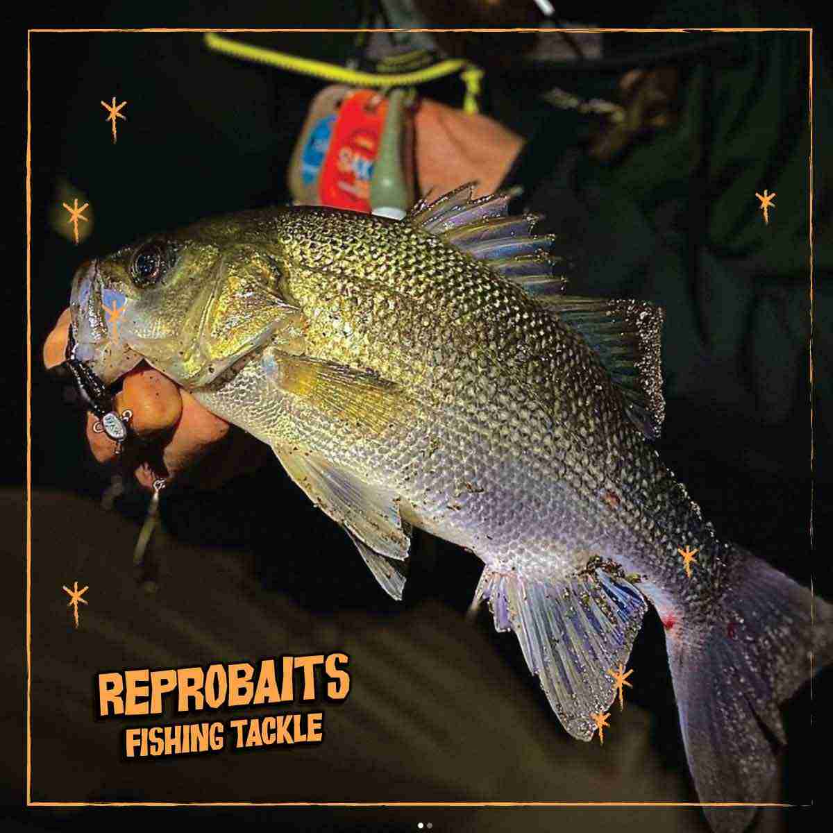 Australian Bass Tackle