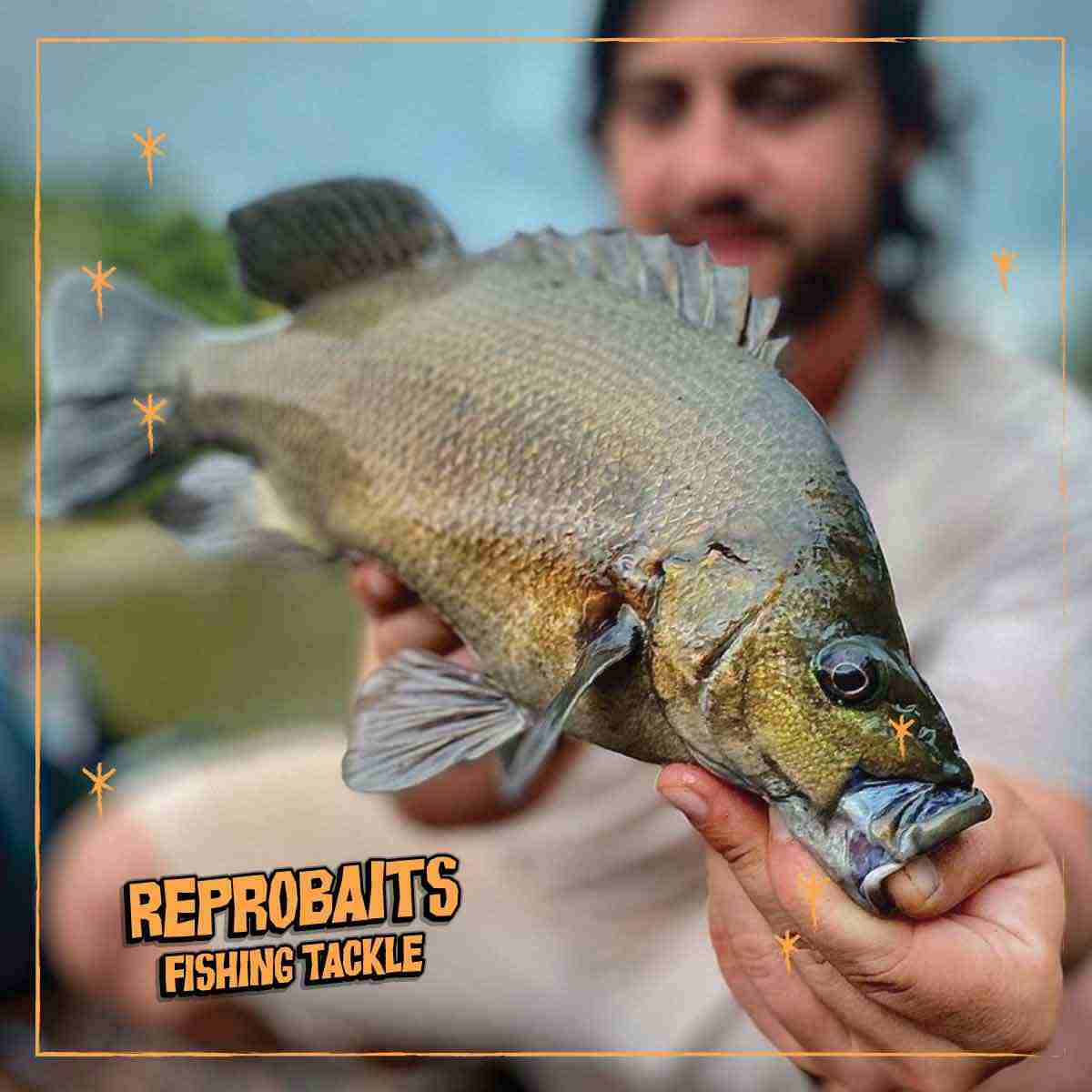 Freshwater Tackle Perch Bass Barra Trout