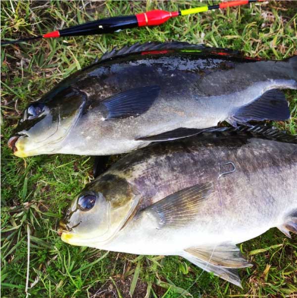Float Fishing