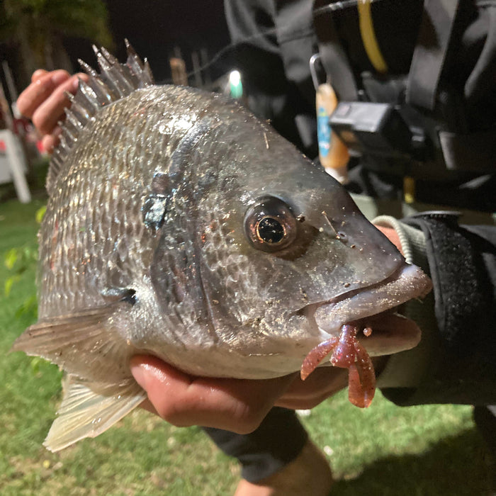 Mastering Bream Fishing: A Comprehensive Guide to Saltwater Lakes