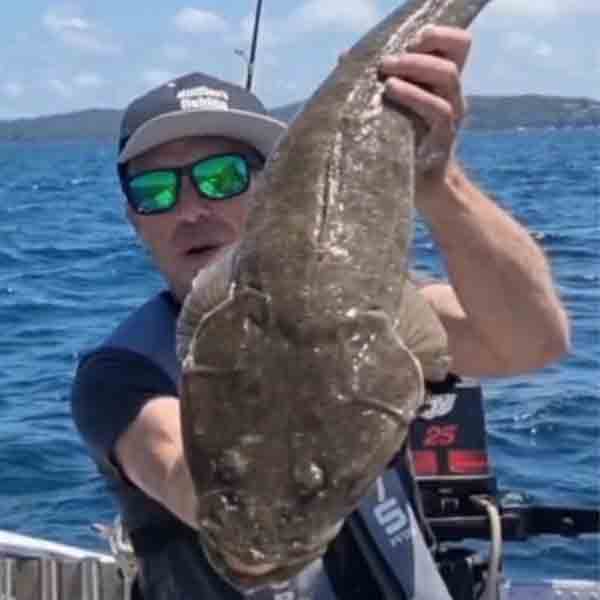 How to Catch Flathead in Australia