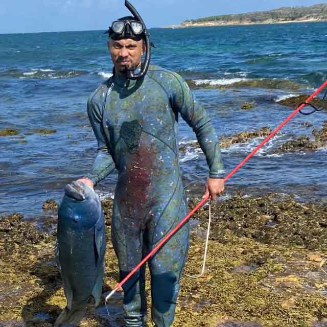 New South Wales Takes Bold Stand: Blue Groper Fishing Ban Enacted After Public Outcry