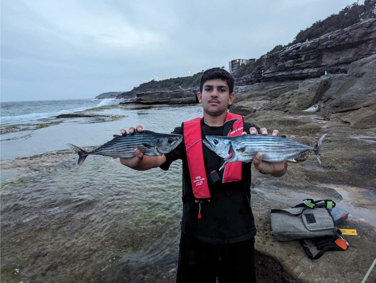 Bonito Fish Rig Ultimate Guide to Bonito Fishing in New South Wales: Mastering the Art ...