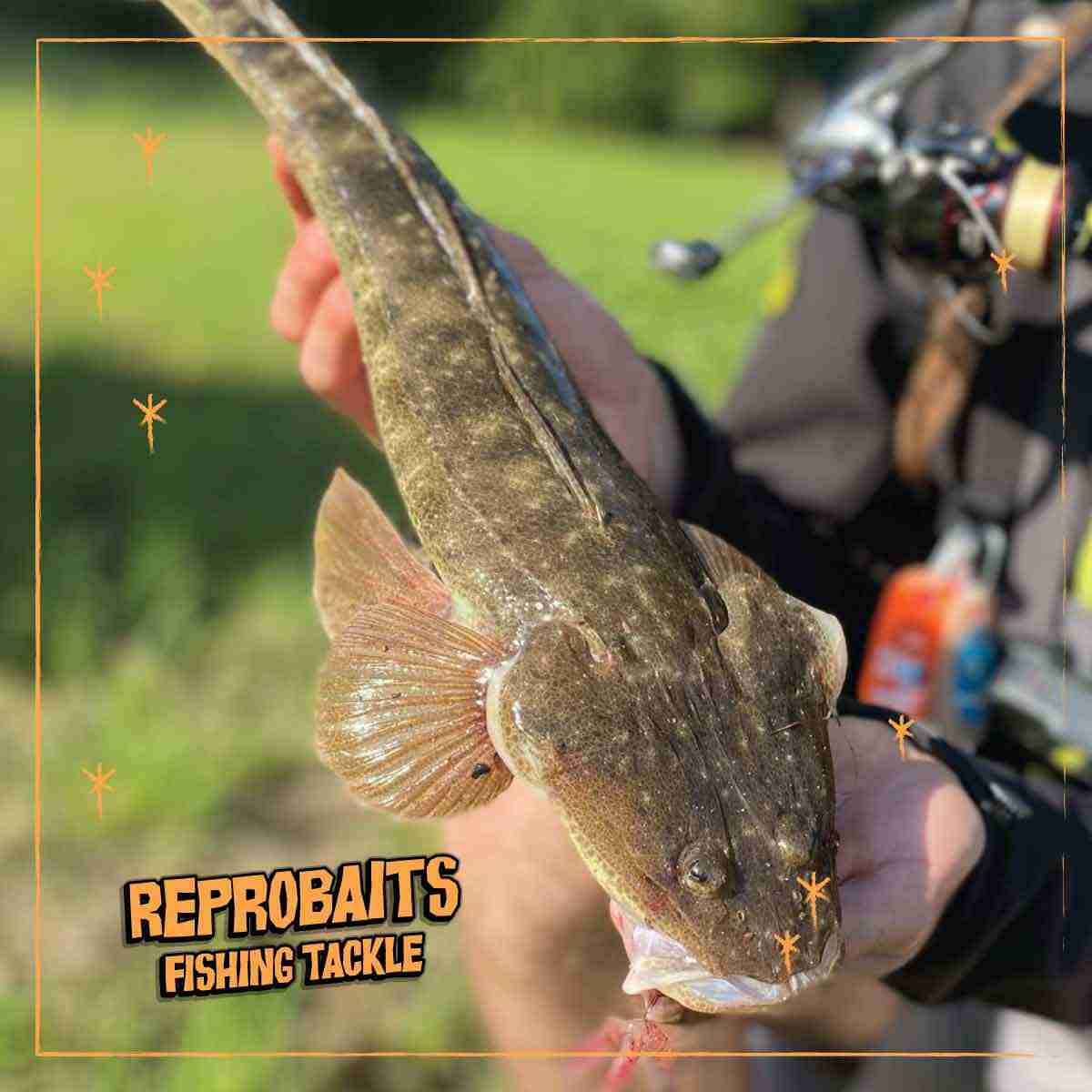 Mastering Flathead Fishing: The 3 Proven Steps to Landing Giants