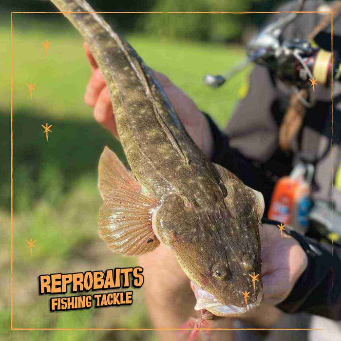 Mastering Flathead Fishing: The 3 Proven Steps to Landing Giants