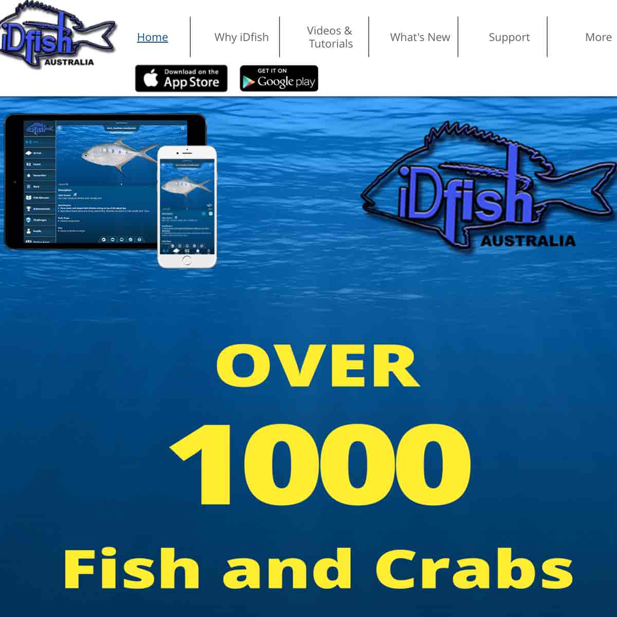 What is the Best Fish ID App? Introducing IDFish — ReproBaits Tackle
