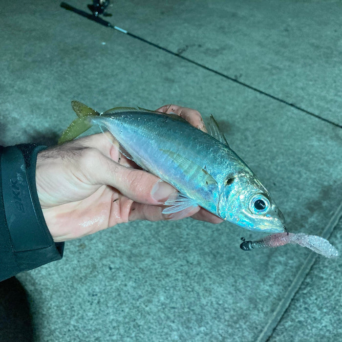 How to Use Yakka for Bait: Live, Fillet and Butterfly Rigs