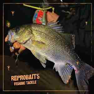 Bottom Bug Crayfish & Nipper Soft Plastic 65mm Flathead Bream