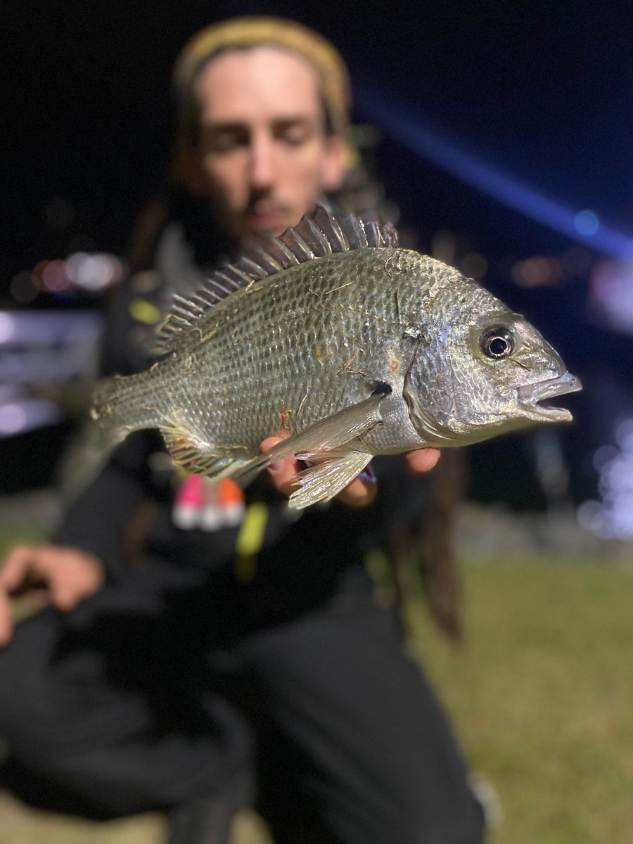 Fish Breamer The Best Gear and Lures for Bream Fishing — ReproBaits Tackle