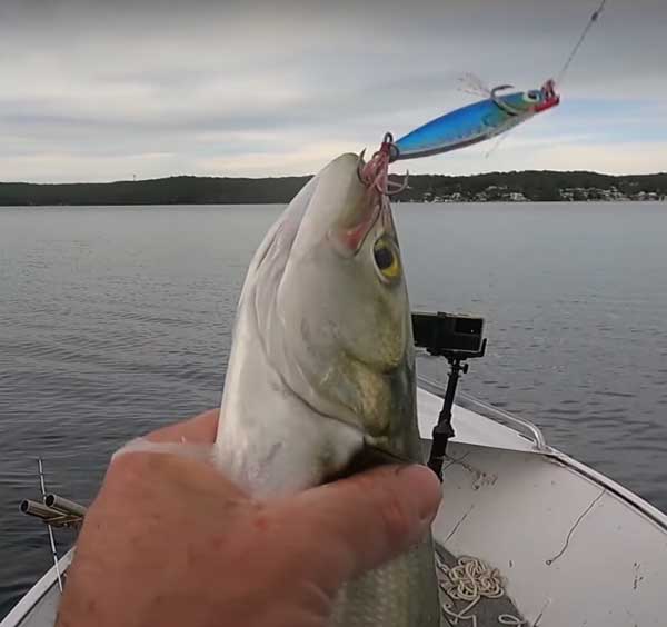 ReproBaits Tackle 20g holographic flat slice jig with stinger hook for rock and surf fishing