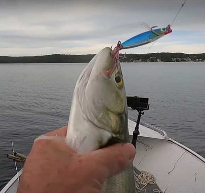 ReproBaits Tackle 20g holographic flat slice jig with stinger hook for rock and surf fishing