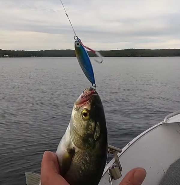 ReproBaits Tackle 20g holographic flat slice jig with stinger hook for rock and surf fishing