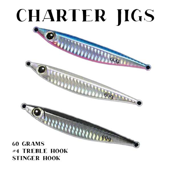 Charter Jigs 60 Gram Holo Pattern With Assist Hook