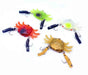 LandCaster Lures Crab Claws Lure is a Cracking Go To Lure for Bream Flathead Snapper and More!